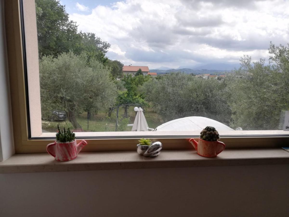Lory Bed & Breakfast Elice