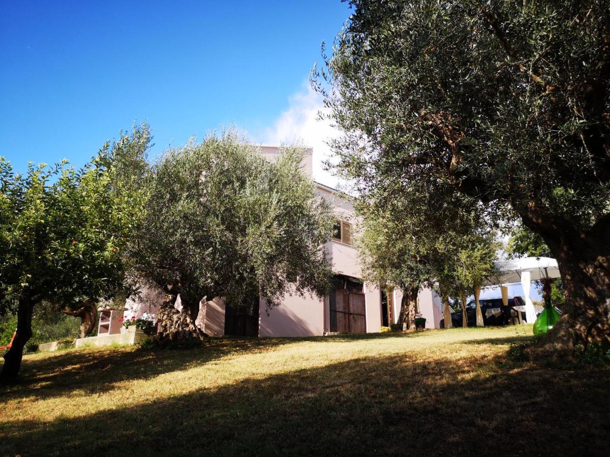 Lory Bed & Breakfast Elice