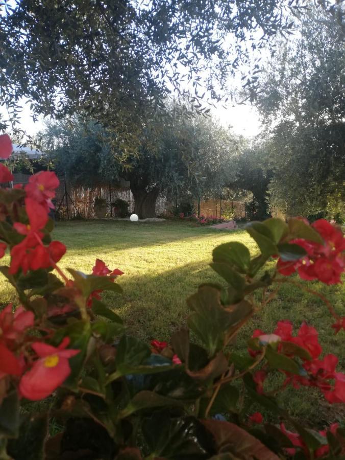Bed & Breakfast Lory Elice